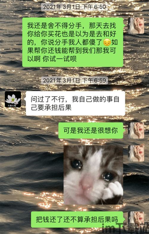 变态猫游戏盒子 (图2) 变态猫游戏盒子 (图2)
