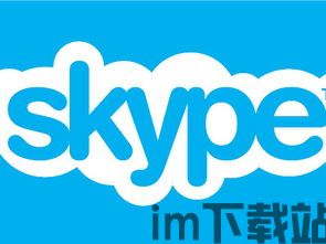 skype电脑对话,揭秘现代沟通的艺术(图2) skype电脑对话,揭秘现代沟通的艺术(图2)