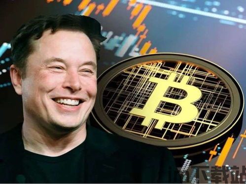 比特币创始人是几个国家,跨越国界的数字货币先锋(图1) 比特币创始人是几个国家,跨越国界的数字货币先锋(图1)