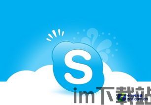 skype地址指的是,连接全球的数字桥梁(图1)