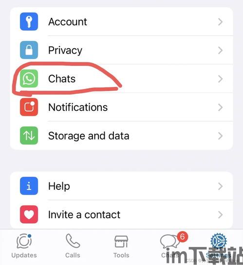 中国苹果手机怎么用whatsapp,中国苹果手机用户如何使用WhatsApp(图3)
