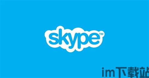 skype面试能用同声传译吗,Skype面试中的同声传译应用解析(图1)