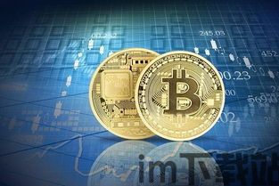 比特币美元是啥意思,揭秘加密货币与法定货币的交汇点(图2) 比特币美元是啥意思,揭秘加密货币与法定货币的交汇点(图2)