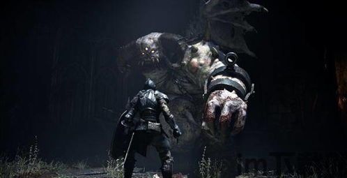 恶魔之魂重制版 垃圾 负重,垃圾负重下的挑战与成长(图2) 恶魔之魂重制版 垃圾 负重,垃圾负重下的挑战与成长(图2)