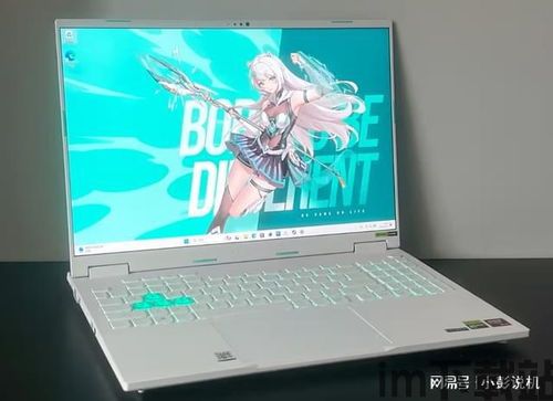 全本小说吧v1.0老版本下载 (图3) 全本小说吧v1.0老版本下载 (图3)