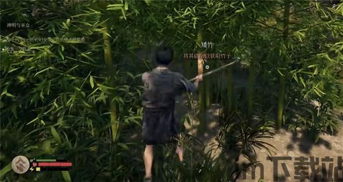 竹子影视下载安装 (图3) 竹子影视下载安装 (图3)