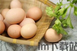 放开茶叶蛋游戏下载 (图2) 放开茶叶蛋游戏下载 (图2)