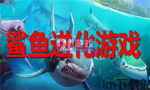 黑鲨游戏空间电竞版 (图2) 黑鲨游戏空间电竞版 (图2)