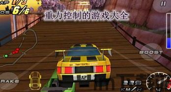飞驰的赛车手 (图2)