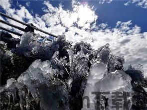 魔域伟岸下的雄鹰,伟岸雄鹰的传奇征程(图3) 魔域伟岸下的雄鹰,伟岸雄鹰的传奇征程(图3)