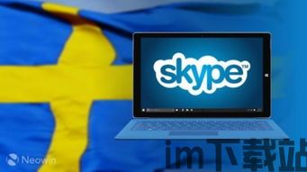 skype禁用有什么影响吗,Skype禁用带来的影响与挑战概述(图2)