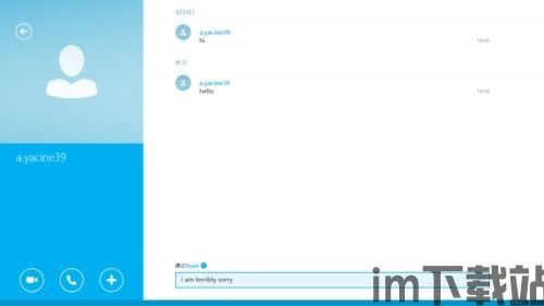 skype的用途,Skype的多元化应用与影响(图1)