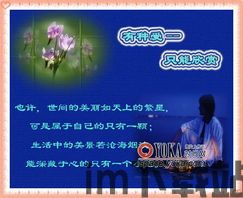 skype的ip地址,追踪其神秘IP地址背后的秘密(图1)