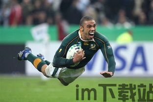 南非橄榄球世界杯,荣耀之战(图2) 南非橄榄球世界杯,荣耀之战(图2)