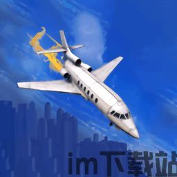飞机电脑办如果变成中文,飞机电脑系统故障应急处理概述(图2) 飞机电脑办如果变成中文,飞机电脑系统故障应急处理概述(图2)