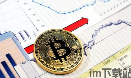 比特币最早怎么保存的,揭秘最早比特币的保存方式(图2) 比特币最早怎么保存的,揭秘最早比特币的保存方式(图2)