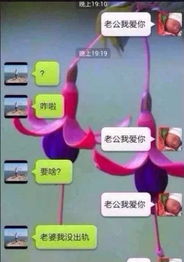 找到老公的私房钱2 (图3)