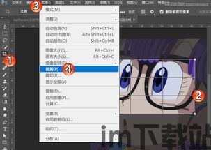 skype裁剪工具,打造个性化沟通体验(图1)