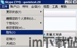 skype记录怎么删,关键对话摘要(图2)