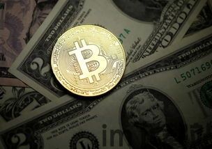 比特币翻倍,揭秘加密货币市场的惊人崛起(图3) 比特币翻倍,揭秘加密货币市场的惊人崛起(图3)