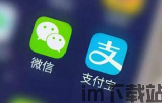 skype能用支付宝,开启跨境支付新篇章(图1) skype能用支付宝,开启跨境支付新篇章(图1)
