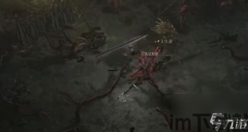 暗黑破坏神4稀有怪,探寻神秘深渊的稀有怪挑战之旅(图3) 暗黑破坏神4稀有怪,探寻神秘深渊的稀有怪挑战之旅(图3)