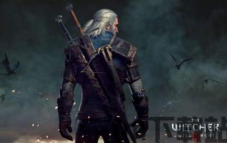 巫师3 更新,再战魔境(图1)