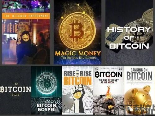 比特币纪录片访谈,深度访谈揭示加密货币的奥秘(图2)