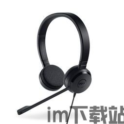 skype耳机,打造无障碍沟通的音质利器(图1)