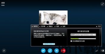 skype麦克风静音怎么回事,原因及解决方法(图3) skype麦克风静音怎么回事,原因及解决方法(图3)