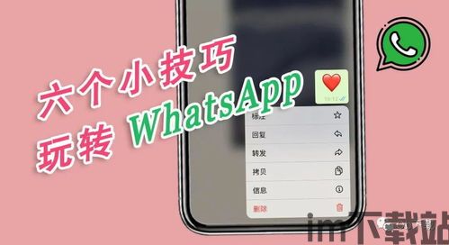 中国whatsapp怎么下载到手机,中国WhatsApp用户手机下载攻略(图2)