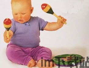 口袋妖怪日月宝石八木特别篇内置修改器 (图3) 口袋妖怪日月宝石八木特别篇内置修改器 (图3)