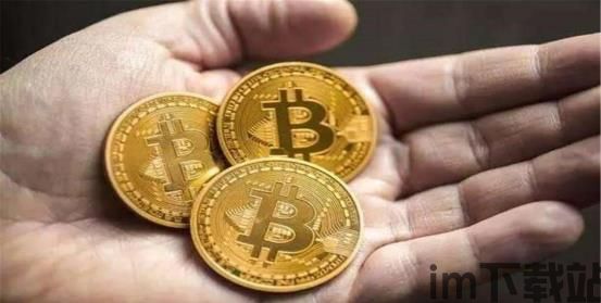 在比特币中国买的比特币,揭秘我的加密货币投资历程(图1)
