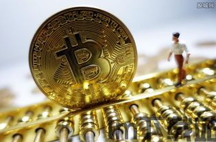 在比特币中国买的比特币,揭秘我的加密货币投资历程(图3)