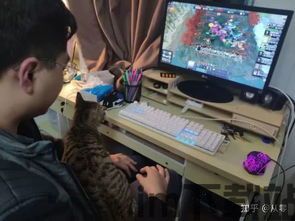 我的男票手游下载 (图3)