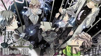 黑与金之钥匙(黒と金の開かない鍵) (图1) 黑与金之钥匙(黒と金の開かない鍵) (图1)