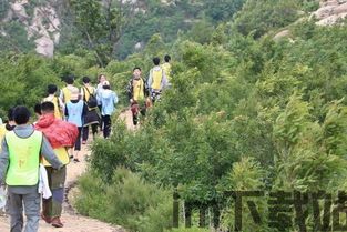 17369妖气山游戏交易服务平台 (图2)