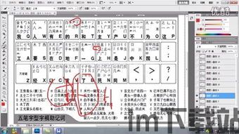 万能五笔输入法教程,轻松掌握高效打字技巧(图2) 万能五笔输入法教程,轻松掌握高效打字技巧(图2)