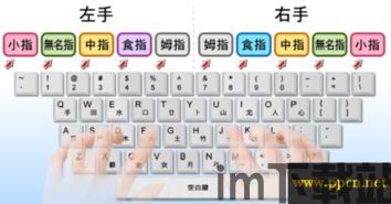 万能五笔输入法教程,轻松掌握高效打字技巧(图3) 万能五笔输入法教程,轻松掌握高效打字技巧(图3)