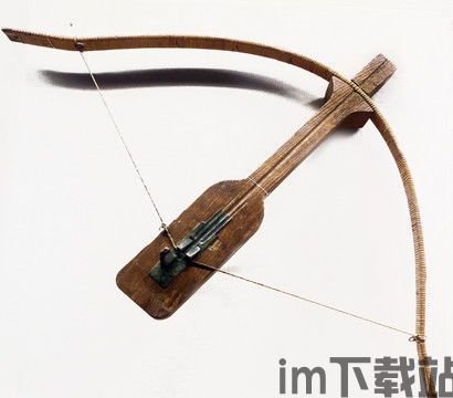 弩图片,揭秘弩的神秘魅力(图2)