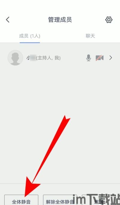 skype会议如何设置全体静音,Skype会议全体静音设置指南(图1)