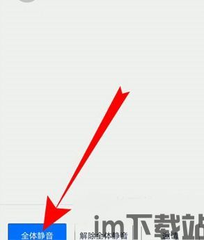 skype会议如何设置全体静音,Skype会议全体静音设置指南(图3)