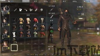 河洛群侠传最近跟新,新生代武侠传奇的崛起(图1)