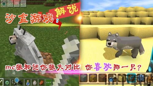 孤狼游戏 (图3)