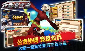 格斗拳王英雄 (图2)
