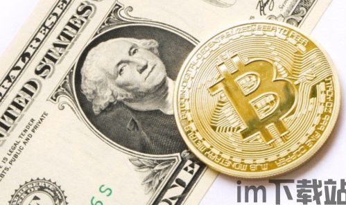 比特币发行时的数量,揭秘最初的2100万枚数字黄金(图3) 比特币发行时的数量,揭秘最初的2100万枚数字黄金(图3)