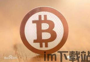 莆田比特币天才被抓,揭秘加密货币市场的法律风险(图2) 莆田比特币天才被抓,揭秘加密货币市场的法律风险(图2)