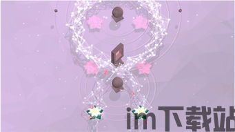 蜜蜂飞舞 (图1)