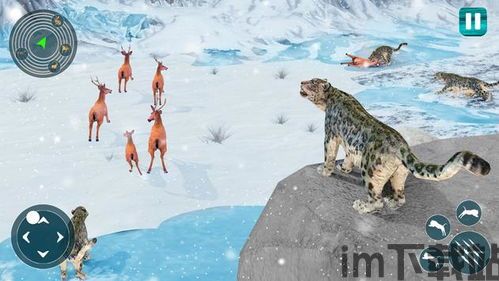 野生雪豹模拟器 (图1) 野生雪豹模拟器 (图1)