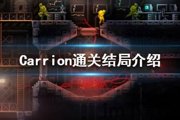奇怪的鸭子游戏 (图3) 奇怪的鸭子游戏 (图3)